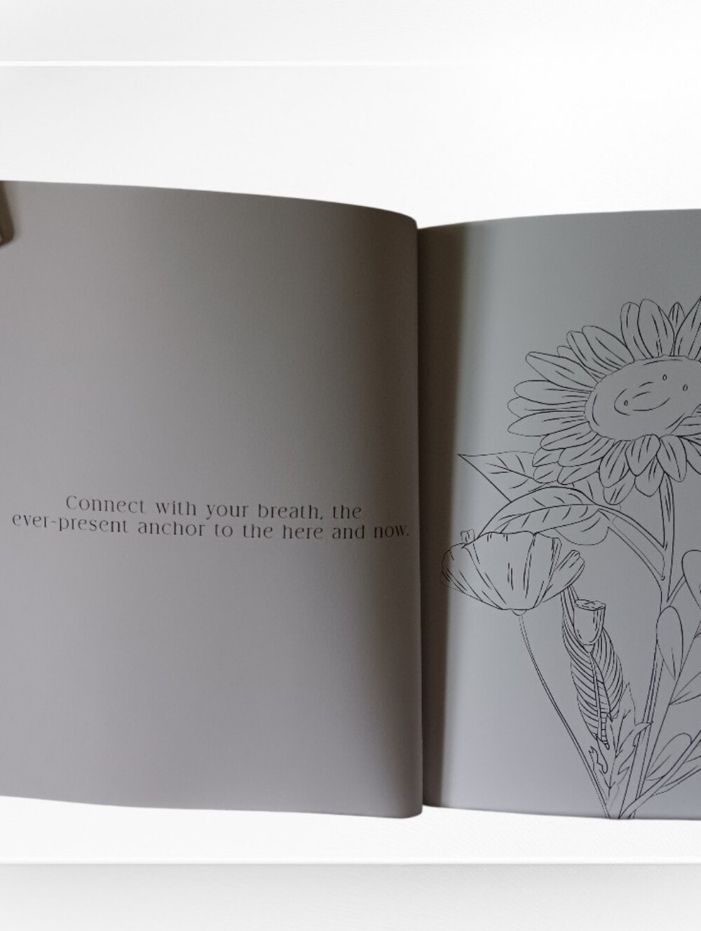 Adult Coloring Book Mindfulness - Picture 7 of 10